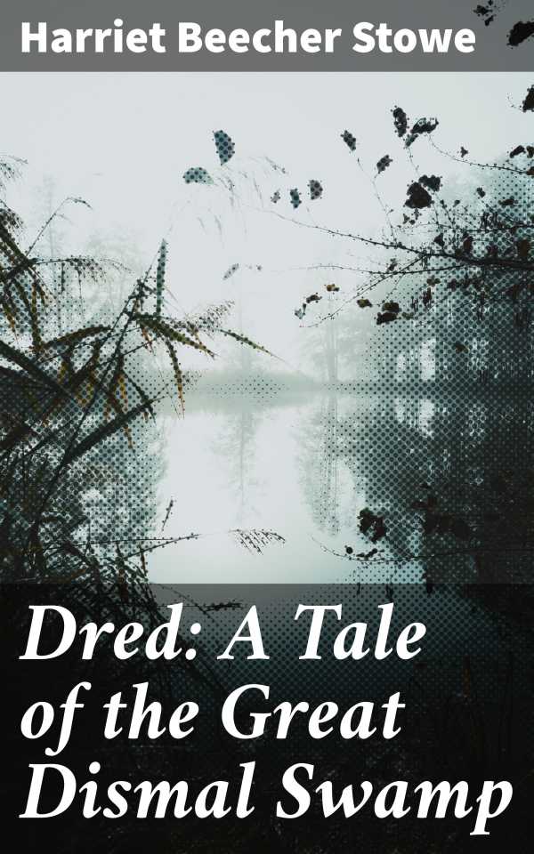 bw-dred-a-tale-of-the-great-dismal-swamp-good-press-4057664633798