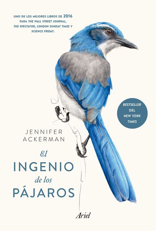 El ingenio de los pájaros