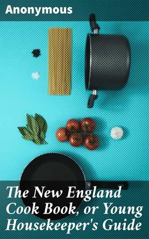The New England Cook Book or Young Housekeepers Guide