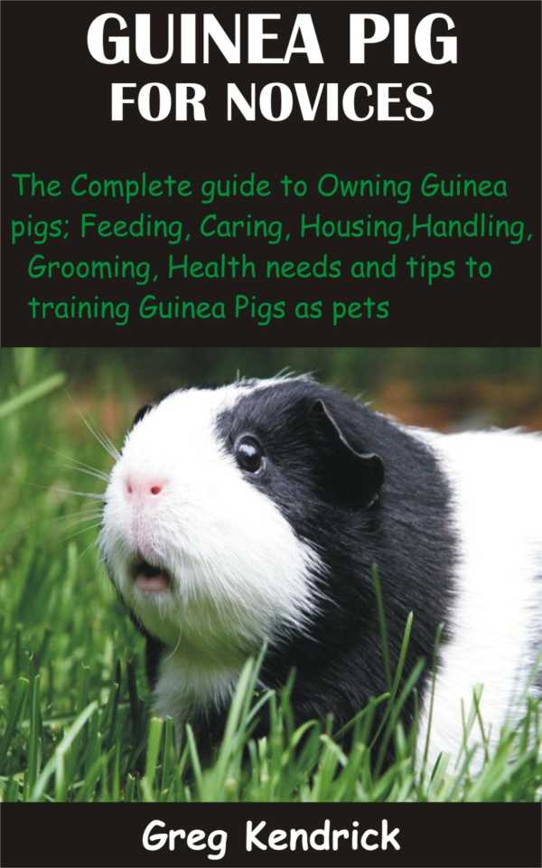 bw-guinea-pig-for-novices-bookrix-9783755431497