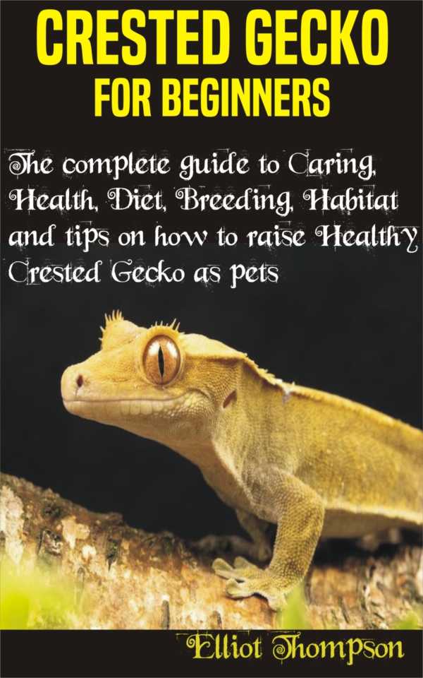 bw-crested-gecko-for-beginners-bookrix-9783755431206