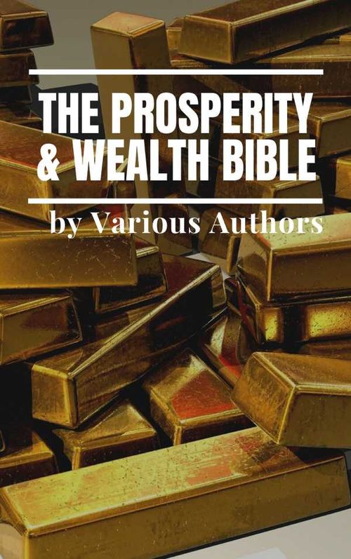 The Prosperity Wealth Bible