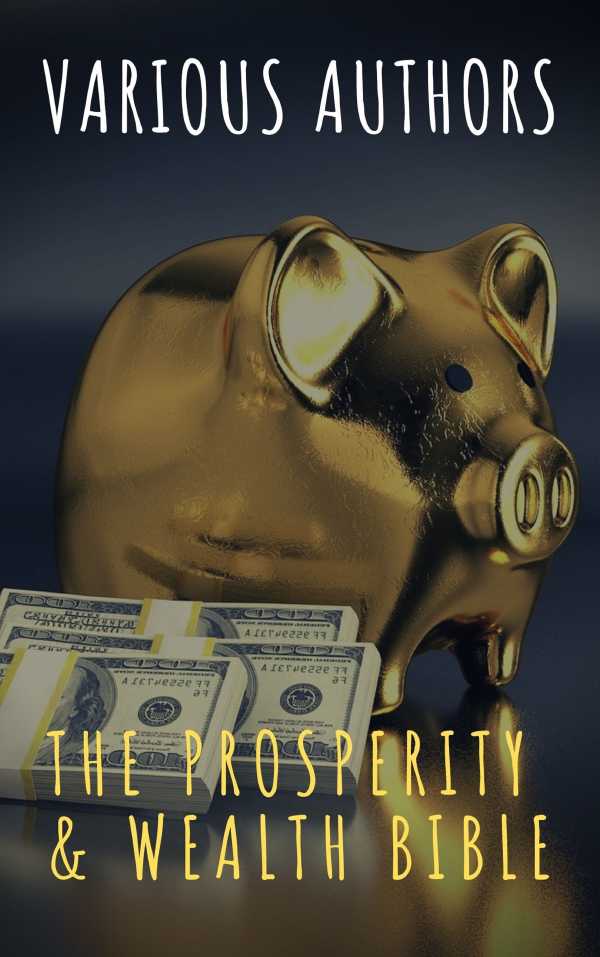 bw-the-prosperity-amp-wealth-bible-the-griffin-classics-9782380373943