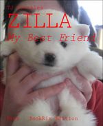 bw-zilla-bookrix-9783730909218