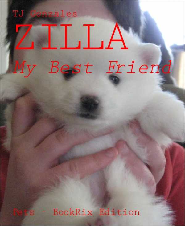 bw-zilla-bookrix-9783730909218