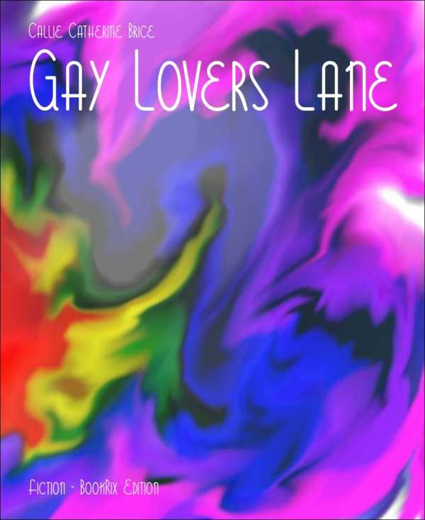bw-gay-lovers-lane-bookrix-9783730912522