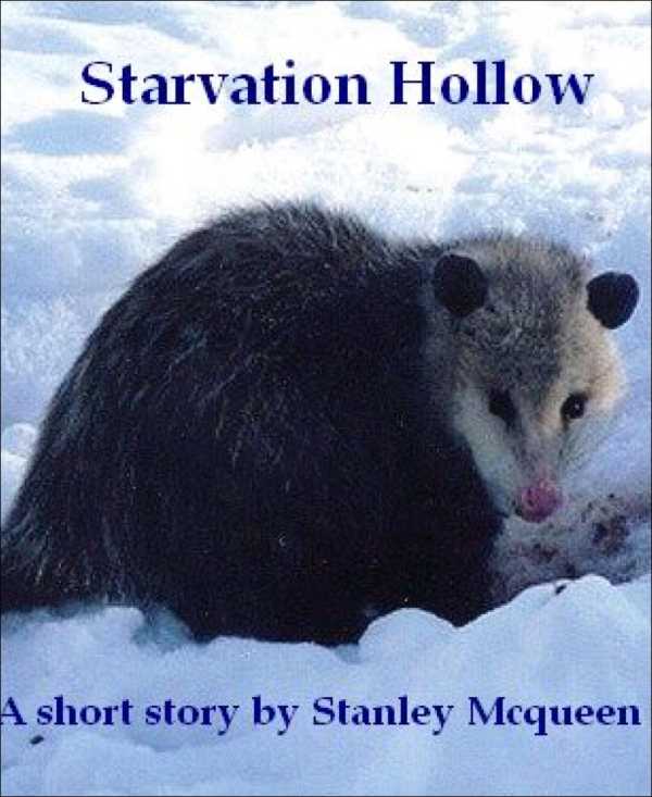 bw-starvation-hollow-bookrix-9783730914427
