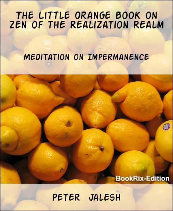 bw-the-little-orange-book-on-zen-of-the-realization-realm-bookrix-9783730920268