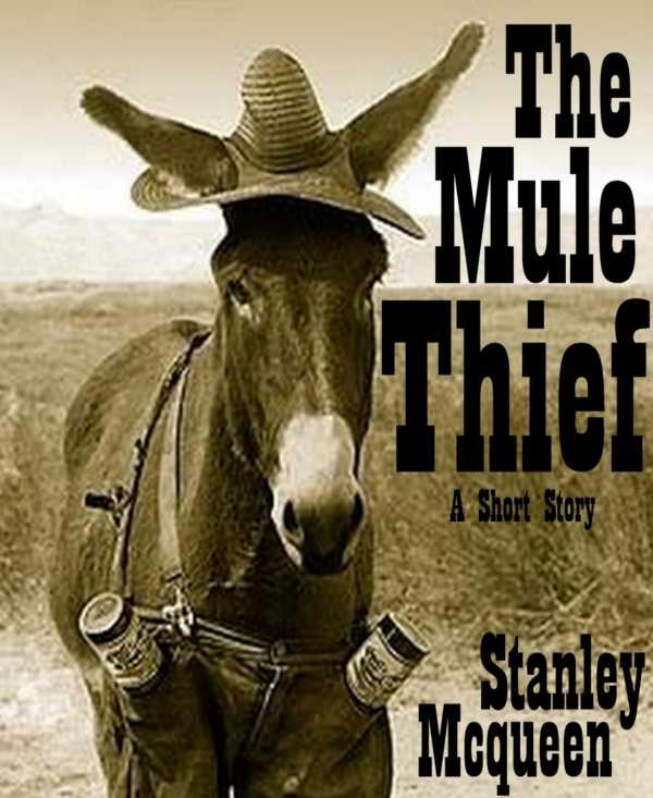 bw-the-mule-thief-bookrix-9783730927991