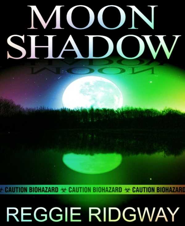 bw-moon-shadow-bookrix-9783730936146