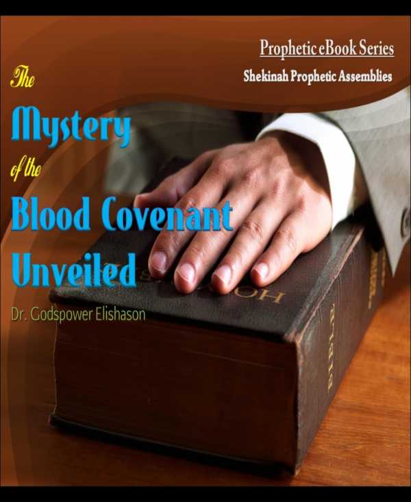 bw-the-mystery-of-the-blood-covenant-unveiled-bookrix-9783730937976