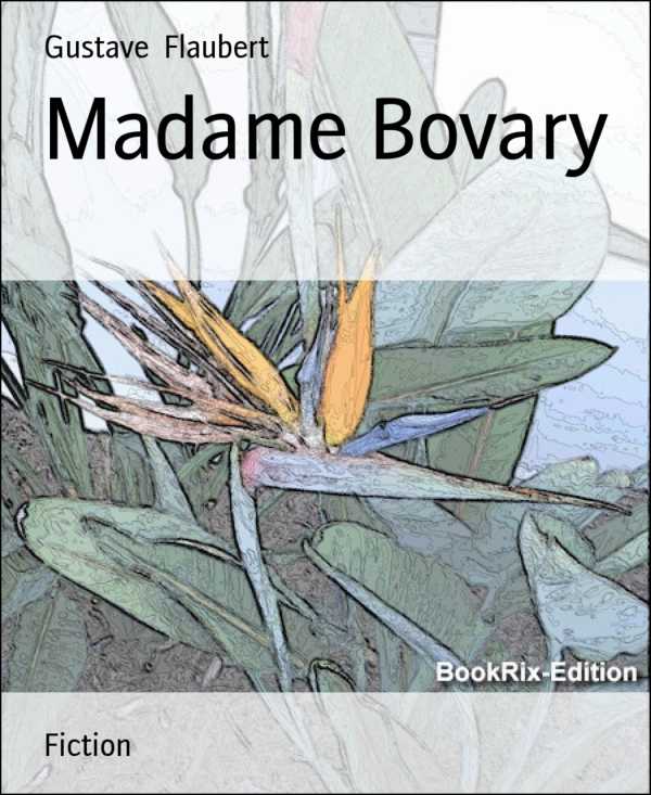 bw-madame-bovary-bookrix-9783730940013