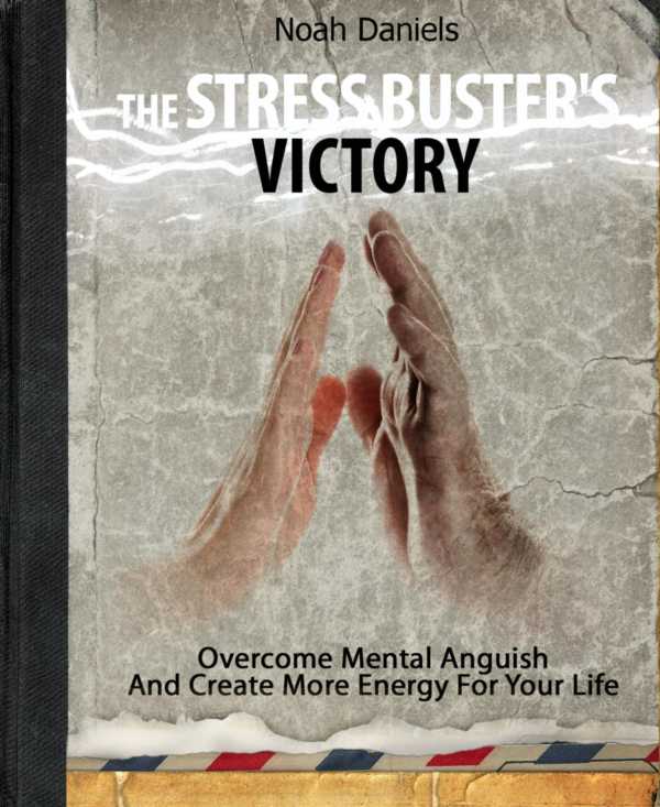 bw-the-stress-busters-victory-bookrix-9783730951521