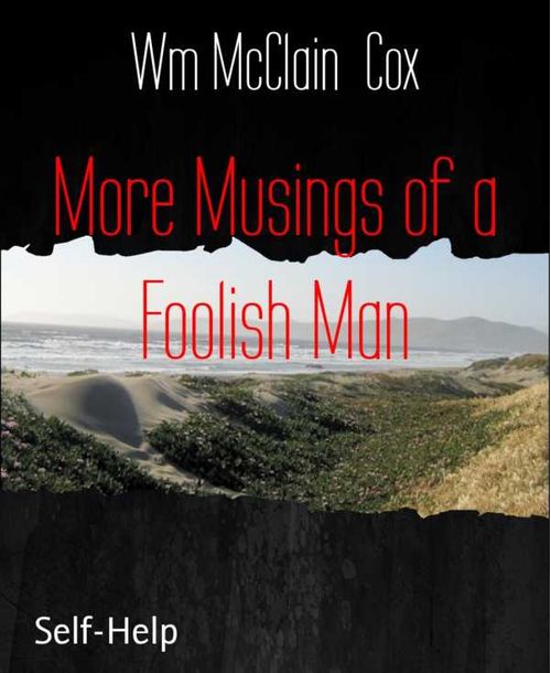 More Musings of a Foolish Man
