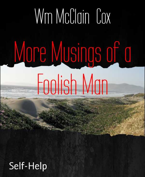 bw-more-musings-of-a-foolish-man-bookrix-9783730954461