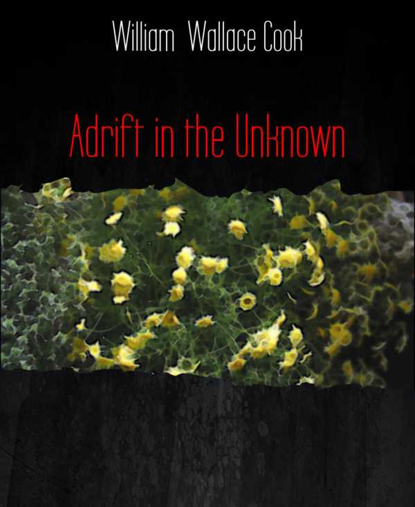 bw-adrift-in-the-unknown-bookrix-9783730972533