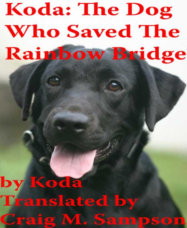 bw-koda-the-dog-who-saved-the-rainbow-bridge-bookrix-9783730984307