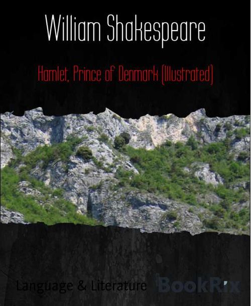 Hamlet Prince of Denmark Illustrated