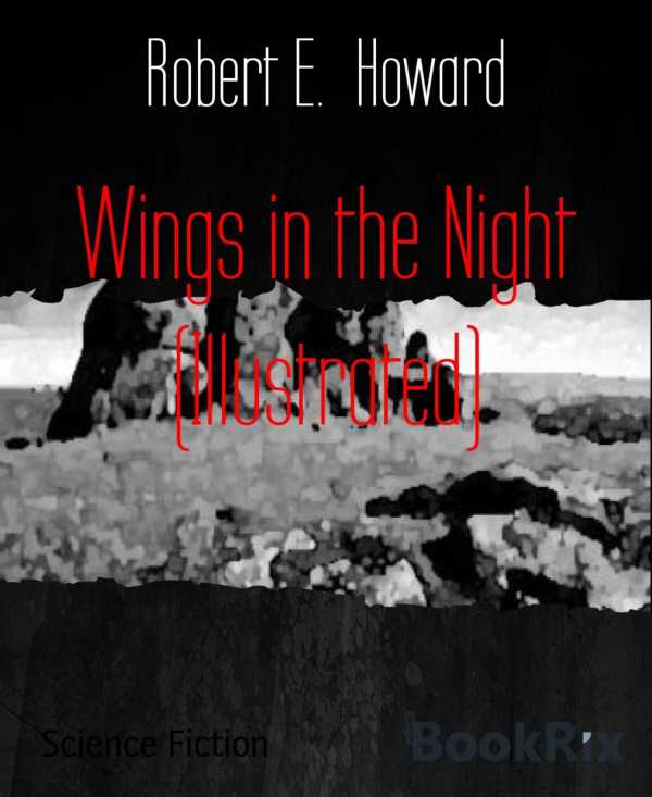 bw-wings-in-the-night-illustrated-bookrix-9783730988398
