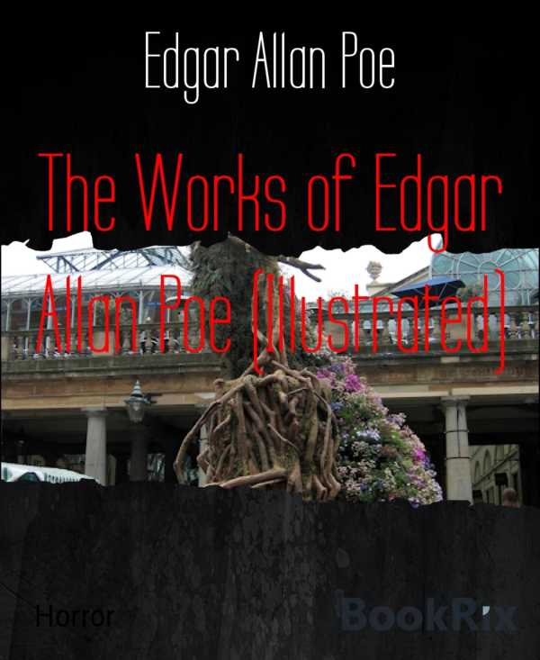 bw-the-works-of-edgar-allan-poe-illustrated-bookrix-9783730991985