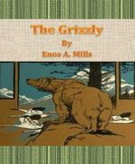 bw-the-grizzly-bookrix-9783730999851