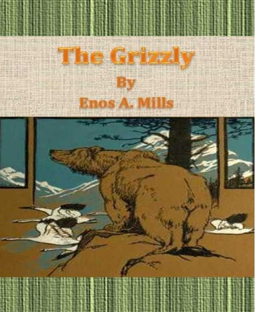 The Grizzly