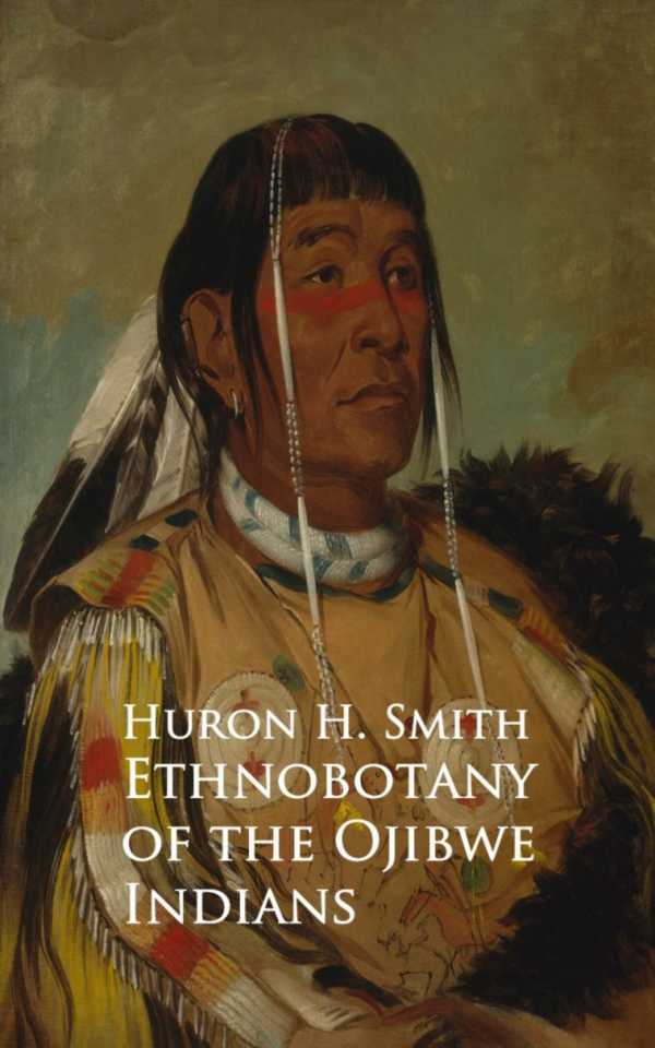 bw-ethnobotany-of-the-ojibwe-indians-anboco-9783736409033