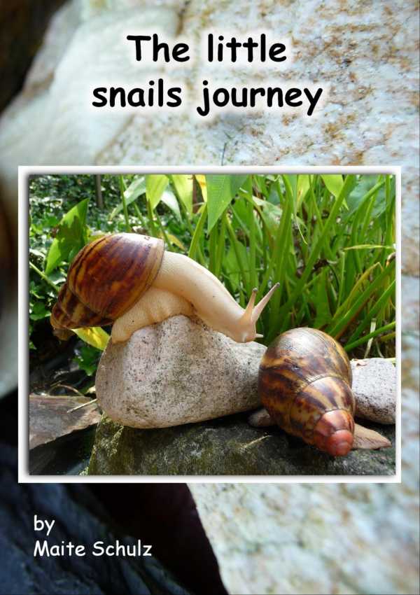 bw-the-little-snails-journey-epubli-9783737515016