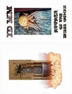 bw-attack-of-the-spider-woman-neobooks-9783742723048