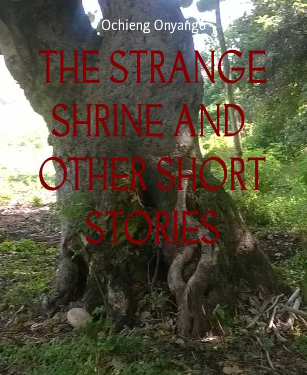 bw-the-strange-shrine-and-other-short-stories-bookrix-9783743816091