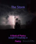 bw-the-storm-bookrix-9783748710738