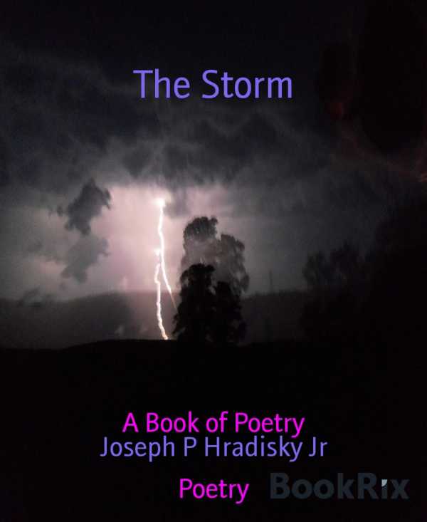 bw-the-storm-bookrix-9783748710738