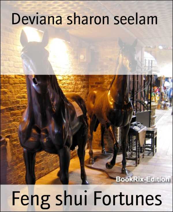 bw-feng-shui-fortunes-bookrix-9783748769453