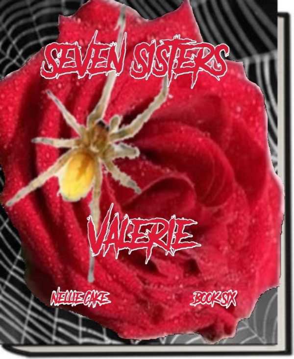 bw-seven-sisters-bookrix-9783748775546