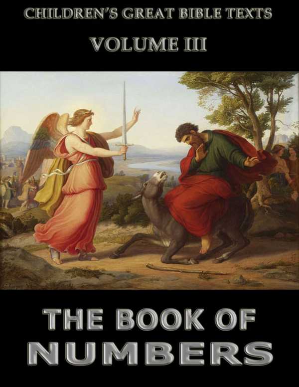 bw-the-book-of-numbers-jazzybee-verlag-9783849622237