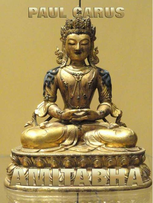 Amitabha A Story Of Buddhist Theology