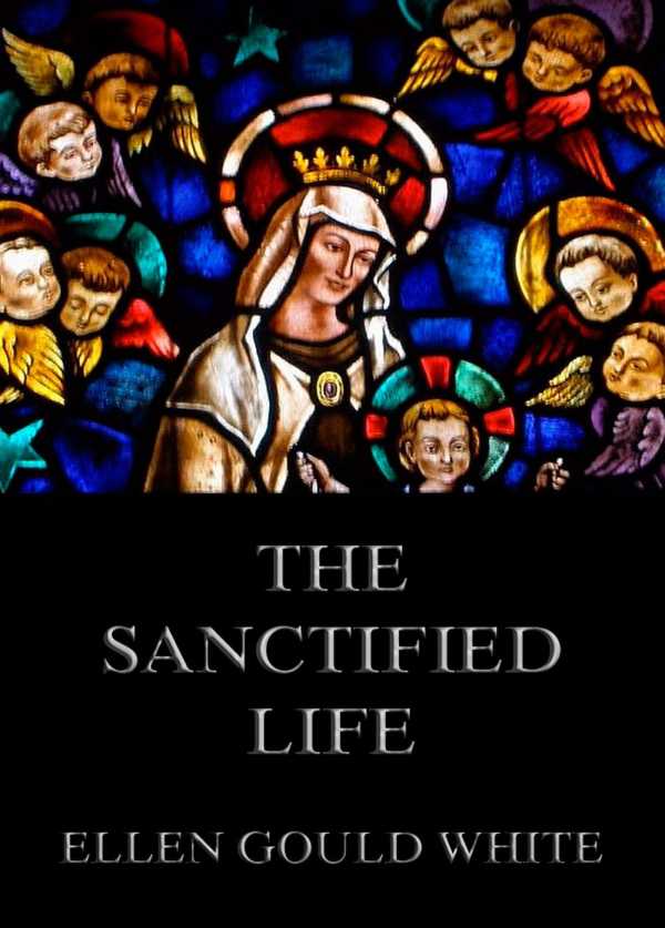 bw-the-sanctified-life-jazzybee-verlag-9783849646288