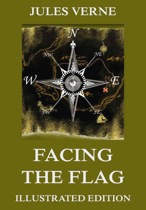 bw-facing-the-flag-jazzybee-verlag-9783849646325