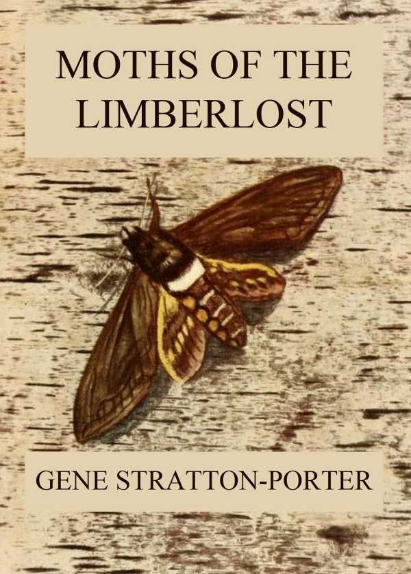 bw-moths-of-the-limberlost-jazzybee-verlag-9783849648671