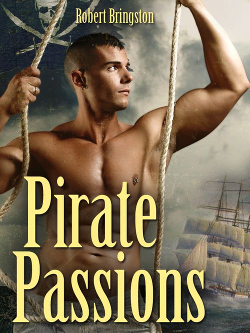 Pirate Passions A Gay Erotic Novel