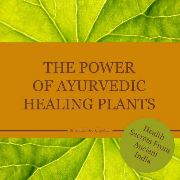 bw-the-power-of-ayurvedic-healing-plants-bel-verlag-9783947159567