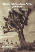 bw-el-llano-en-llamas-pedro-paacuteramo-y-otras-obras-iberoamericana-editorial-vervuert-9783954875900