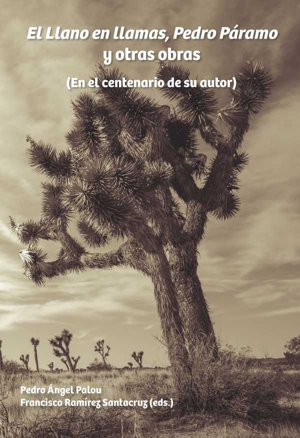 bw-el-llano-en-llamas-pedro-paacuteramo-y-otras-obras-iberoamericana-editorial-vervuert-9783954875900