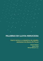 bw-palabras-en-lluvia-minuciosa-iberoamericana-editorial-vervuert-9783954877560