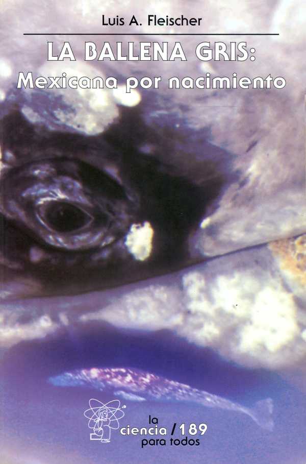 bw-la-ballena-gris-fondo-de-cultura-econmica-9786071603494