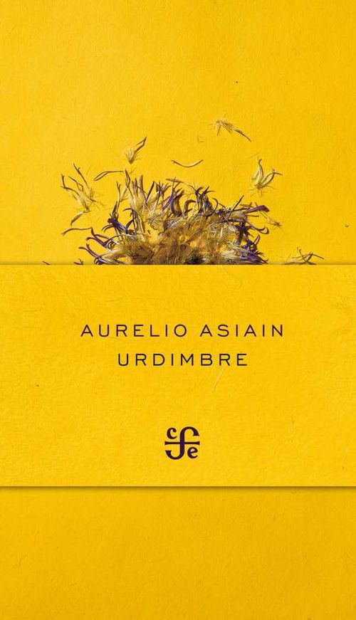Urdimbre