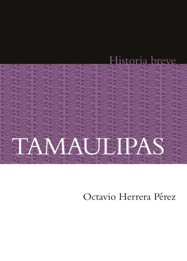 bw-tamaulipas-fondo-de-cultura-econmica-9786071640642