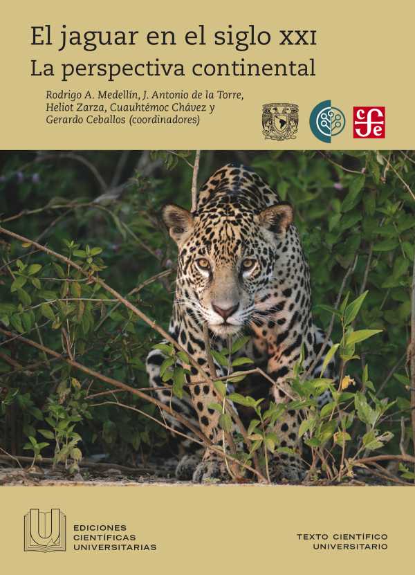 bw-el-jaguar-en-el-siglo-xxi-fondo-de-cultura-econmica-9786071642547