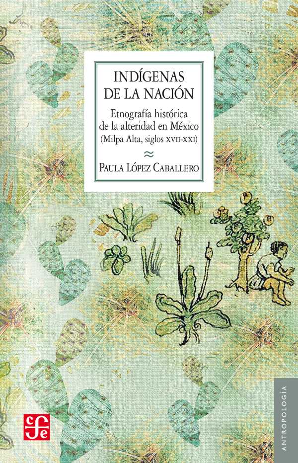 bw-indiacutegenas-de-la-nacioacuten-fondo-de-cultura-econmica-9786071652119