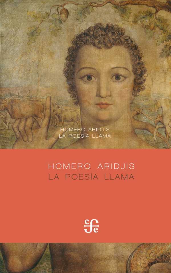 bw-la-poesia-llama-fondo-de-cultura-econmica-9786071656889